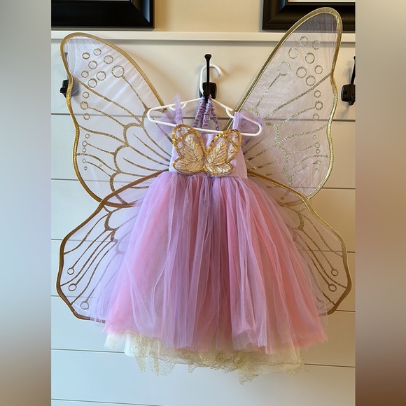 Pottery Barn Kids Other - Pottery Barn Kids Butterfly fairy costume size 3T